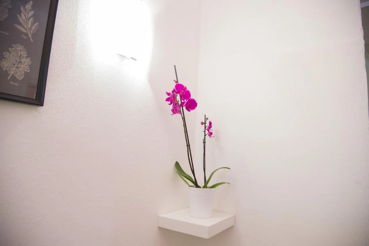 Palazzo Del Golfo Apartment Naples Italy